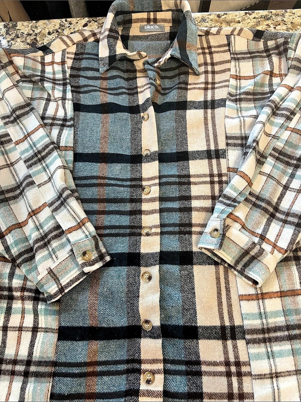 blue b. Plaid Button Down in Blue & White Large Like New